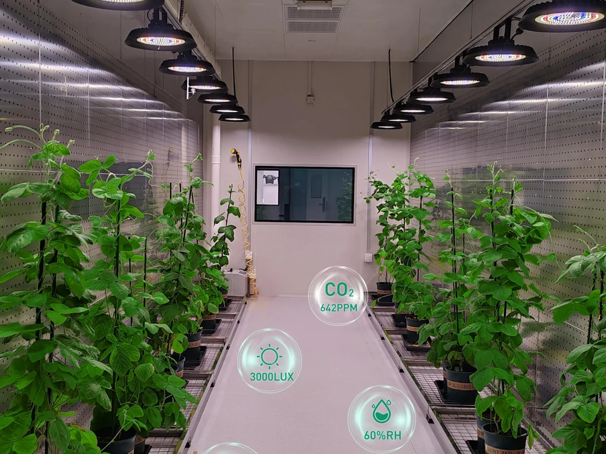 Plant Growth Rooms