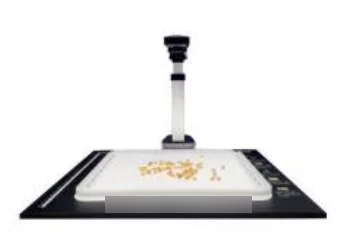 Overhead Imaging Camera for Seed Analysis