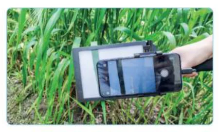 High-Resolution Non-Destructive Leaf Area Meter (Camera Stitching)