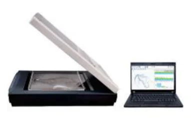Root Scanner and Image Analysis System