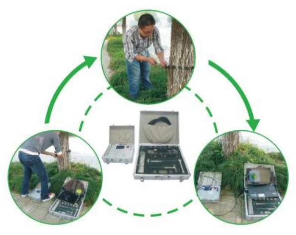 Tree Nondestructive Stress-Wave Tomography Detector