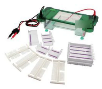 Horizontal Electrophoresis Cell (Mini)