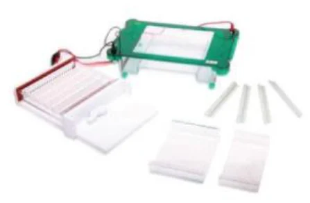 Horizontal Electrophoresis Cell (Large)