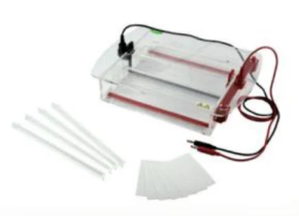 Horizontal Electrophoresis Cell (Double-Bridge, Cooled)