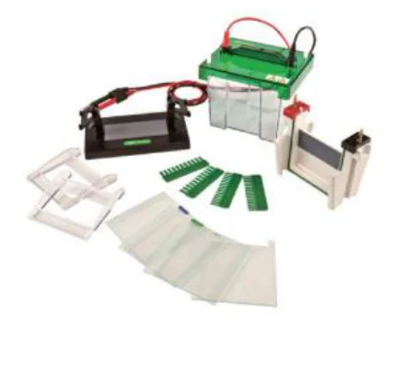 Mini Vertical Electrophoresis Cell (1–2 gels)