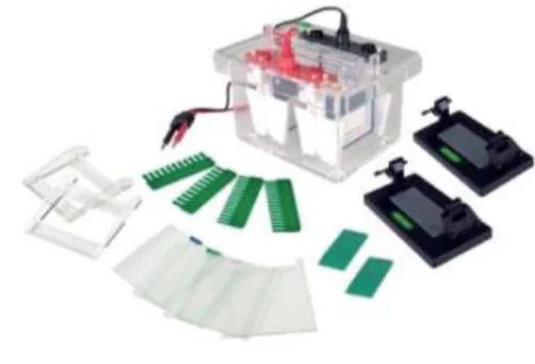 Vertical Electrophoresis Cell (1–4 gels, multi-casting)