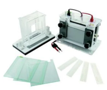 Large Vertical Electrophoresis Cell (Protein / DGGE)
