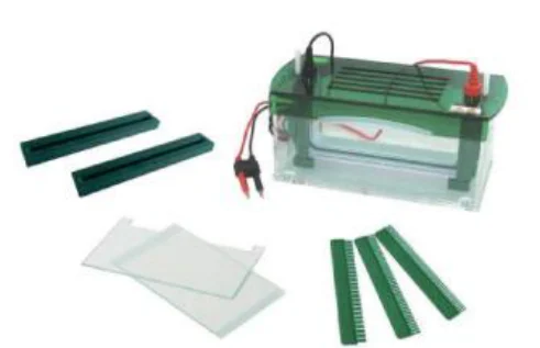 Wide-Format Vertical Electrophoresis Cell