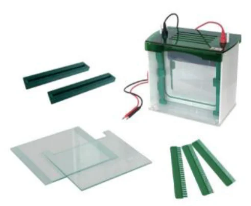 Wide-Format Vertical Electrophoresis Cell (Tall Gel)