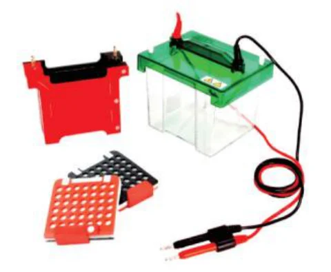 Tank Transfer (Western Blot) Cell