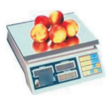 Electronic Bench Scale