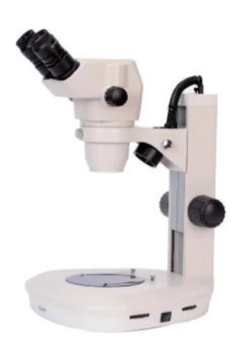 Binocular Zoom Stereo Microscope (6X–50X)