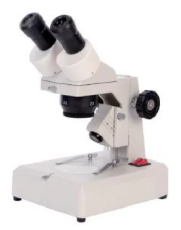 Binocular Stereo Microscope (20X–40X, bench stand)