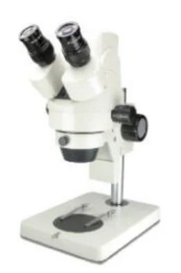 Trinocular Zoom Stereo Microscope (7X–45X)