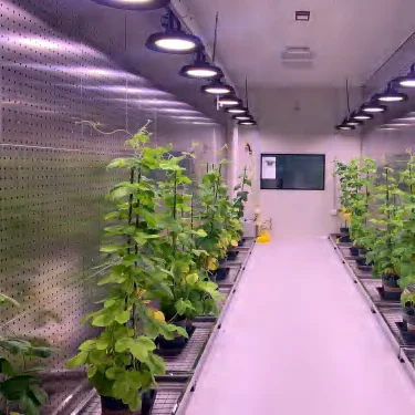 Walk-in Plant Growth Room