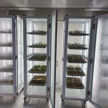 Seed Germination Room