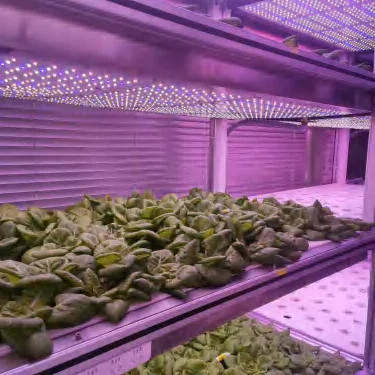 Controlled Environment Climate Room