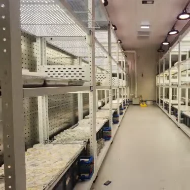 Plant Tissue Culture Room