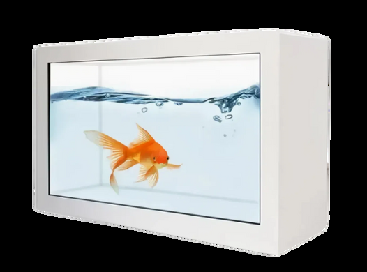 3D hologram display box showing a floating fish