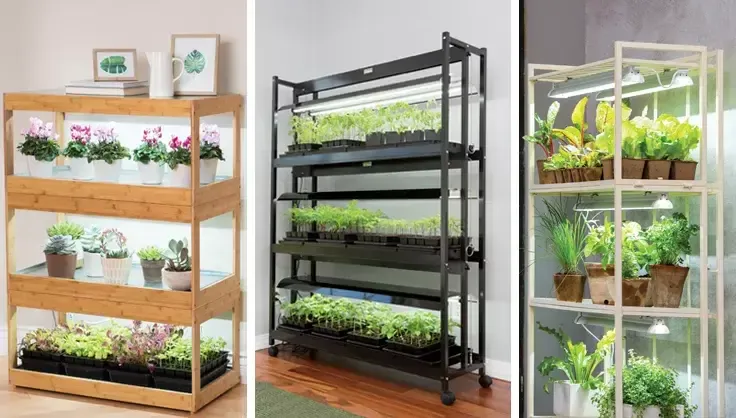 Growth lighting Cabinet