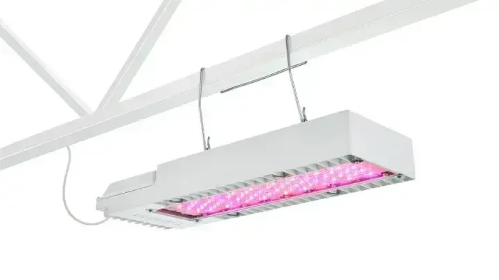 Growth lighting Cabinet